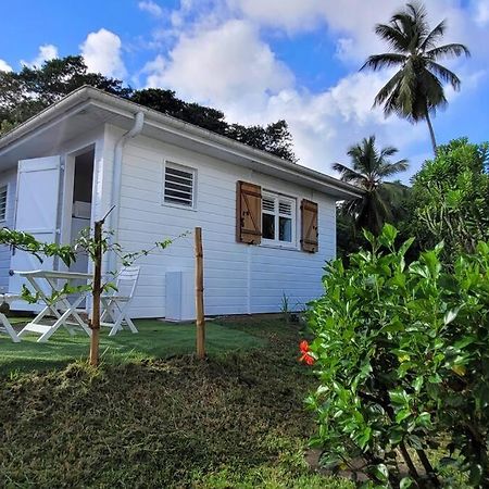 Grande Savane Ti-Hibiscus Bungalow T1 Clim-Wifi 30M2 2 Pers מראה חיצוני תמונה